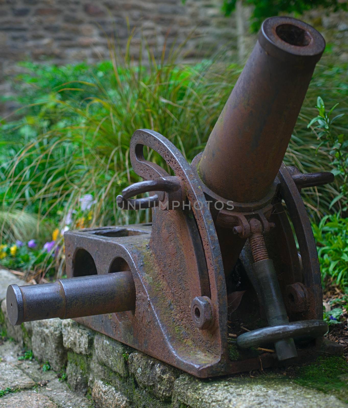 Old vintage rusted mortar canon with greenery in background by sheriffkule