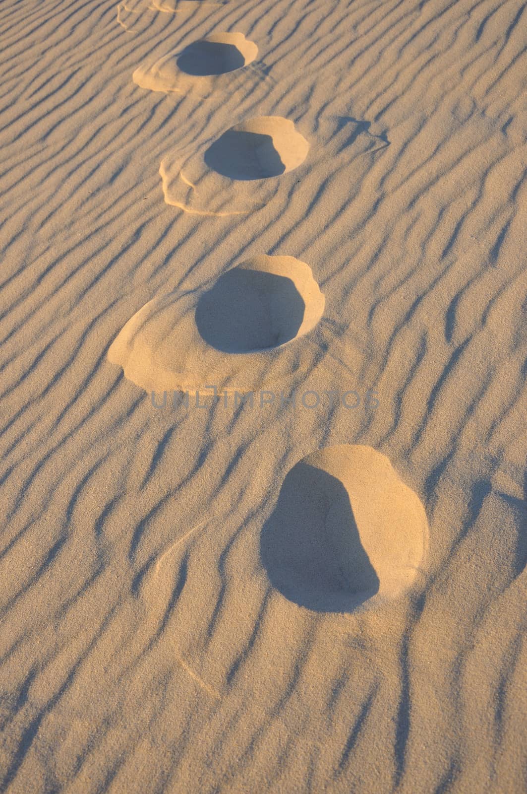 holidays around the Arcachon bay and the pilat dune, France.
summer evening on the beach