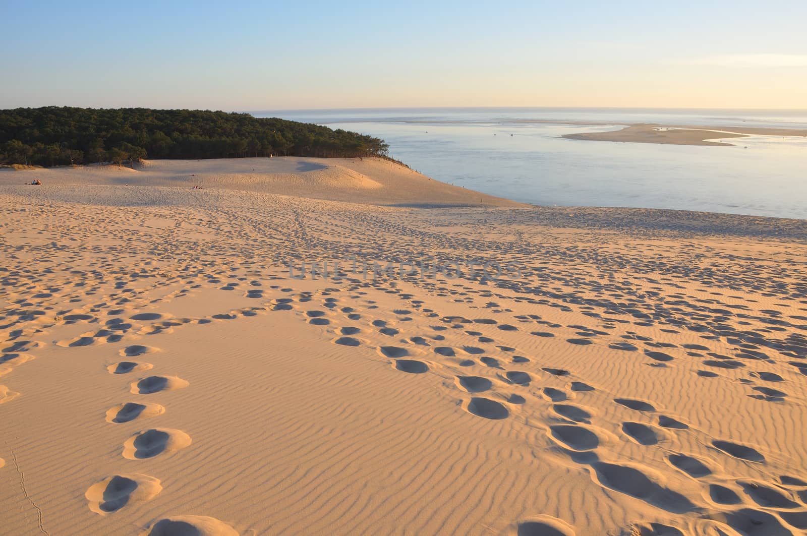 holidays around the Arcachon bay and the pilat dune, France.
summer evening on the beach
