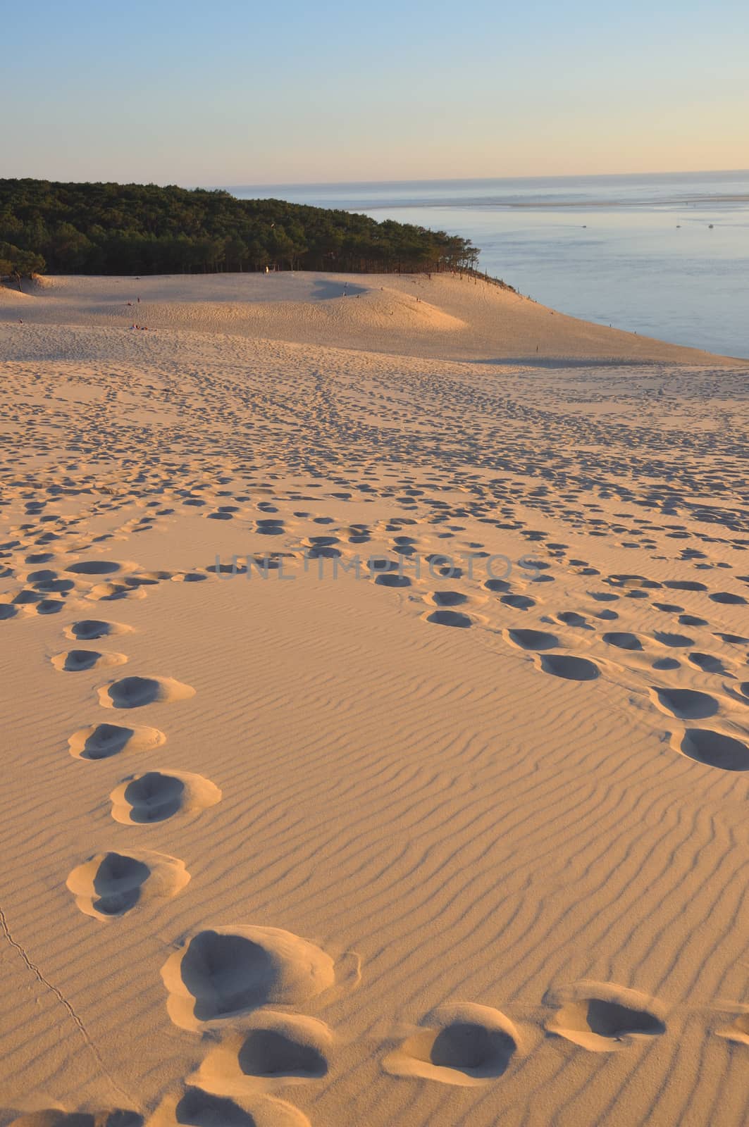 holidays around the Arcachon bay and the pilat dune, France.
summer evening on the beach