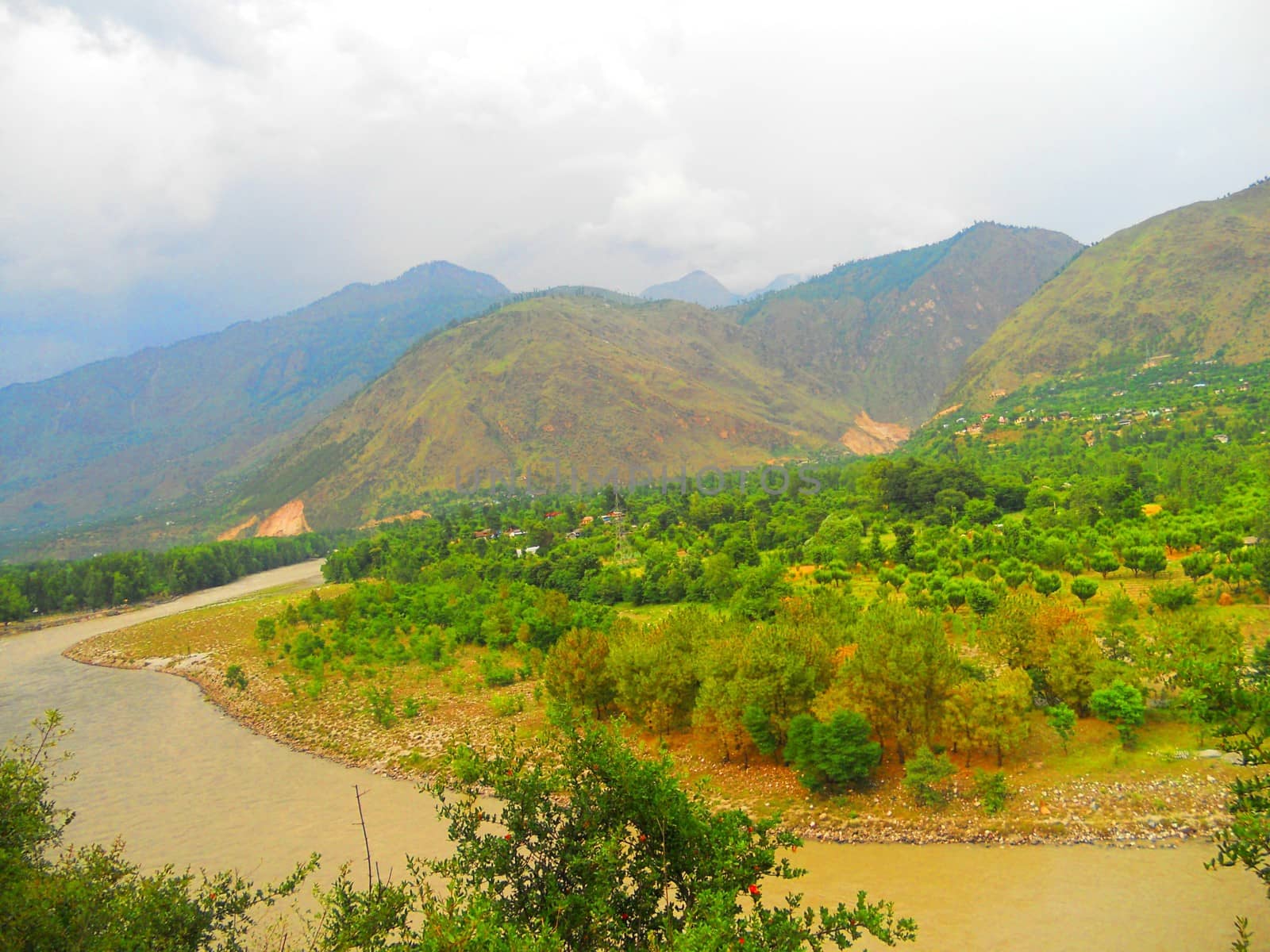 nature's panorama during summer season