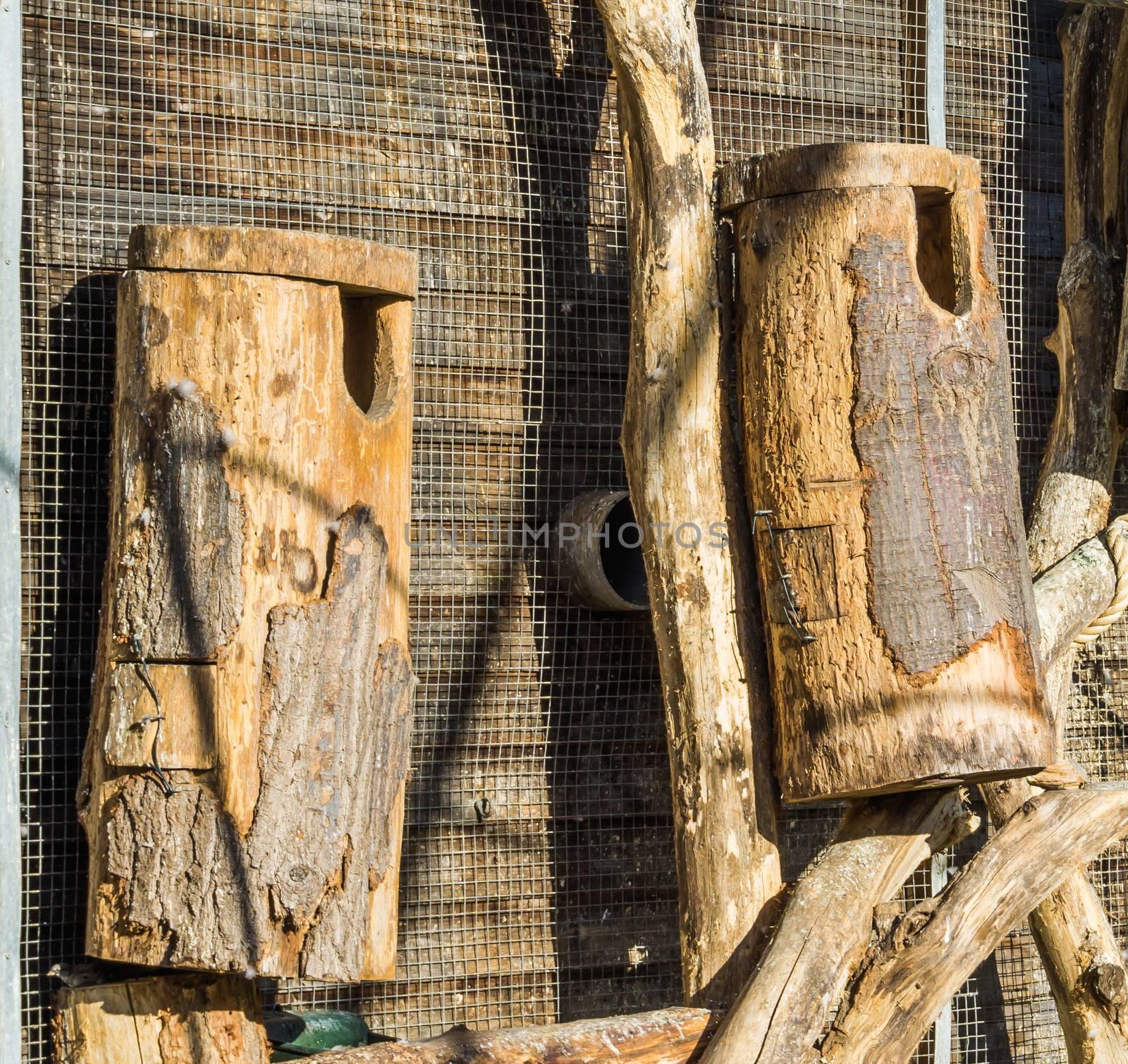 big hand crafted empty wooden bird houses made of a tree trunk and wood hanging on the wall