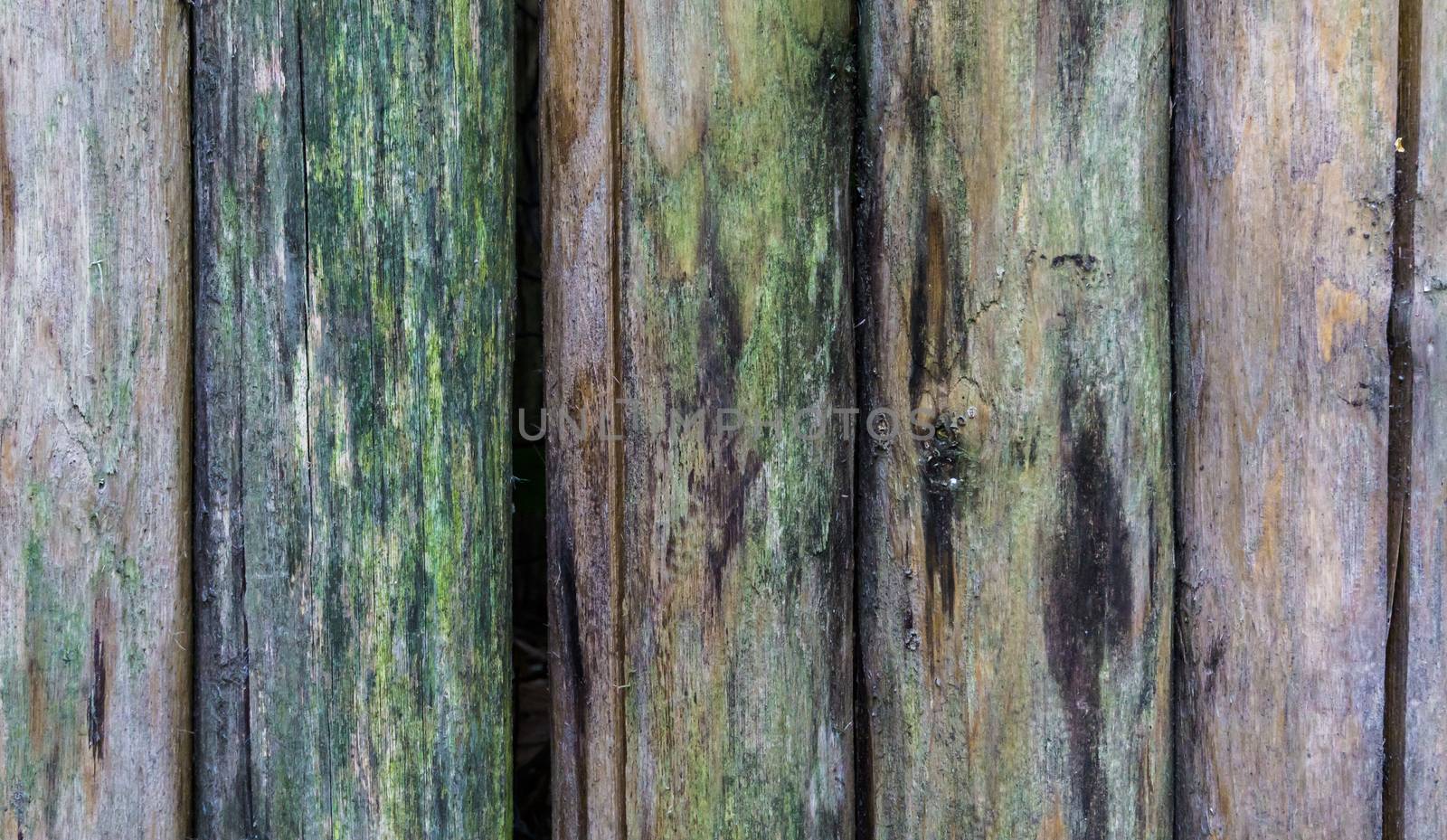 old weathered wooden poles macro close up background texture