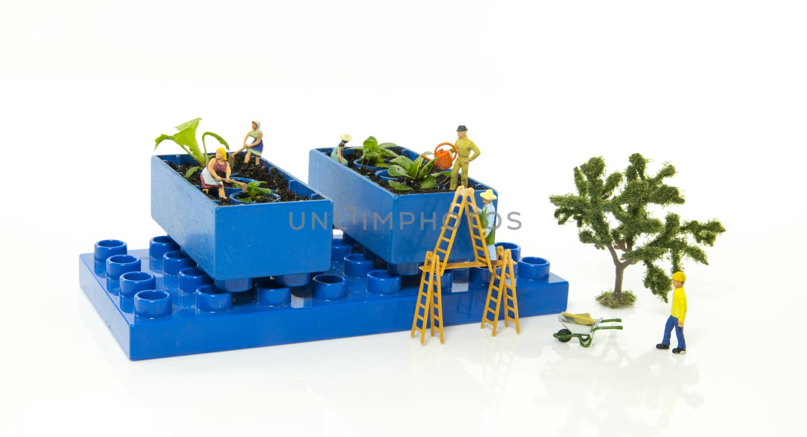 little world figures creating and busy with planting and watering the vegetable garden