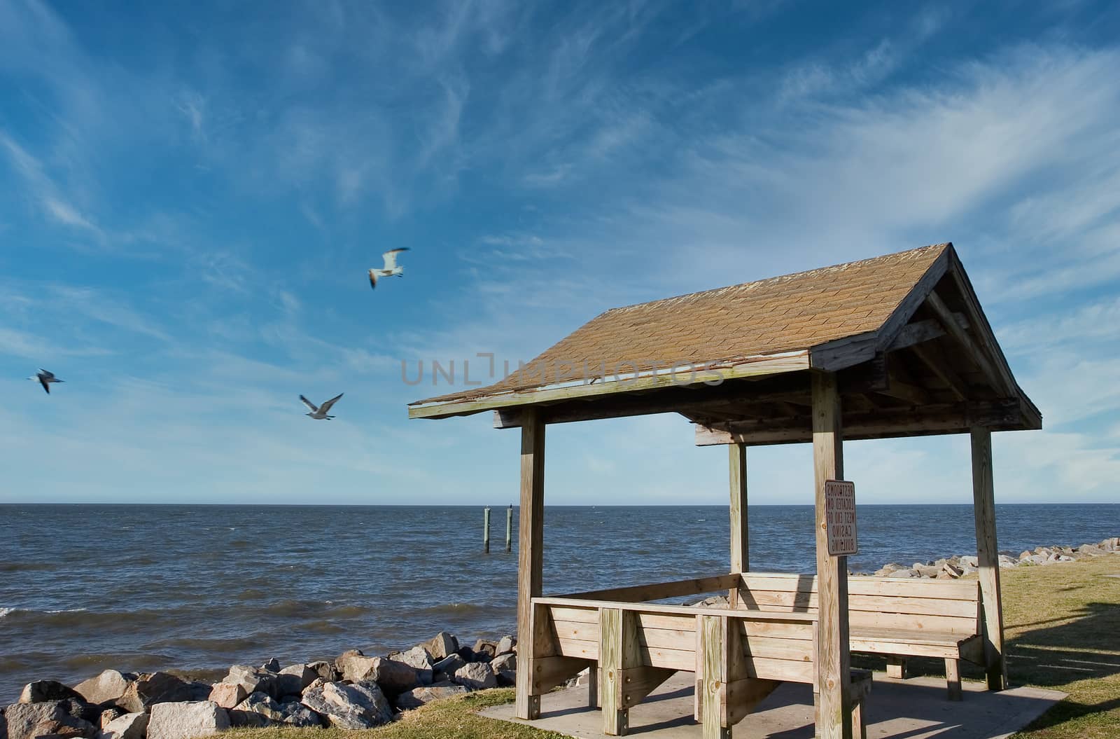 Seagulls flying around a beach shelter and benches on a rocky shore