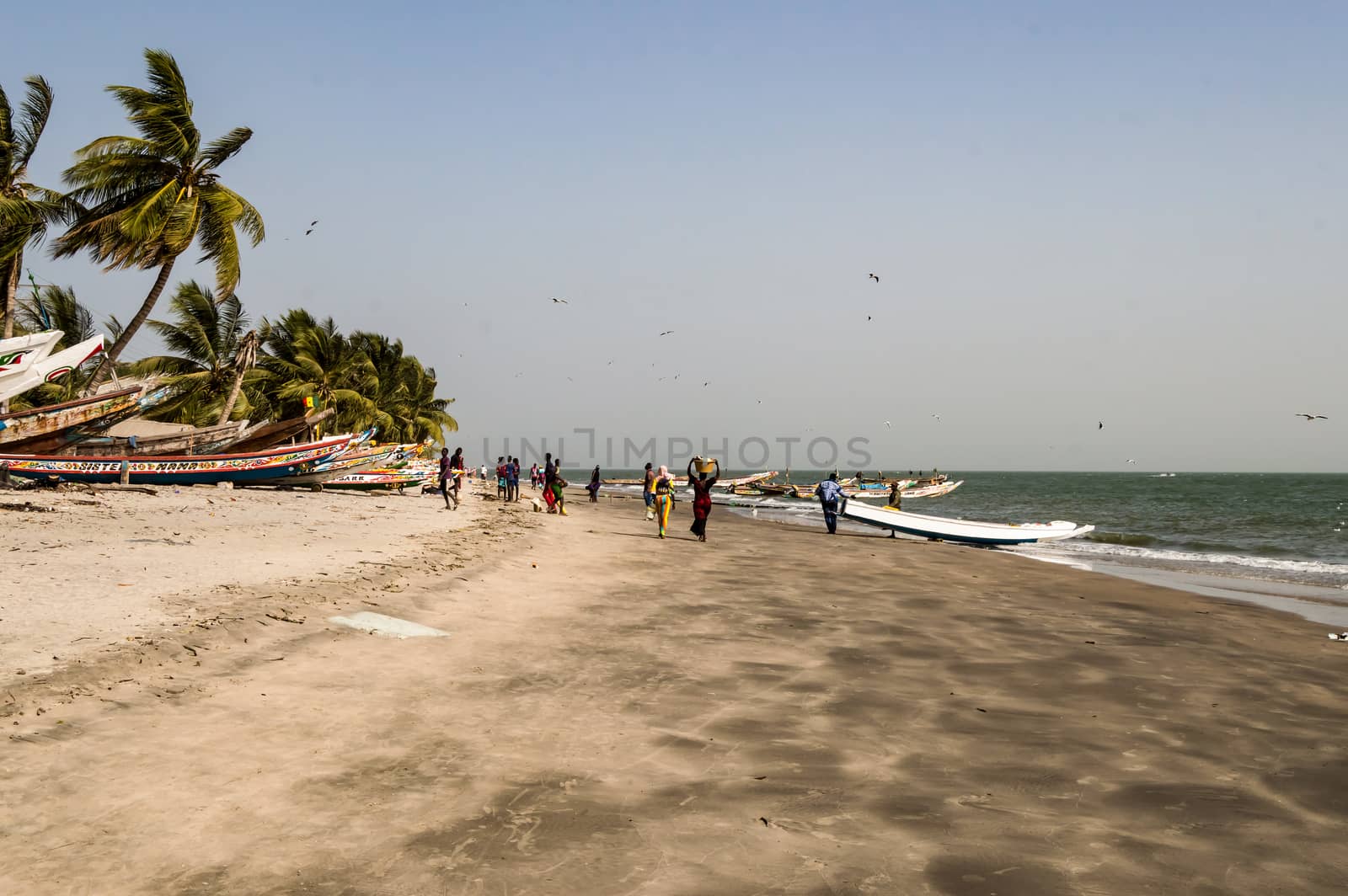 West africa gambia - view of the beach in port of banjul on a windy day