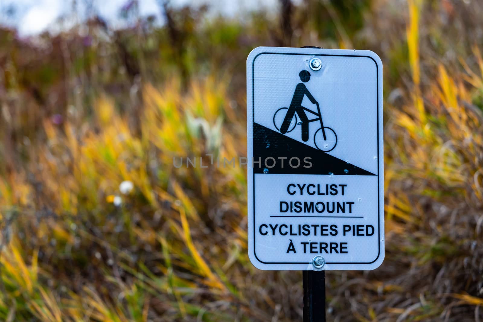 A bilingual sign on a suburban trail indicates that cyclists should dismount their bicycles due to a steep hill along the path.