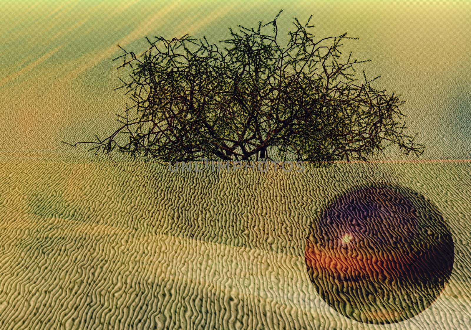 Unknown ball in the desert by creativ000creativ