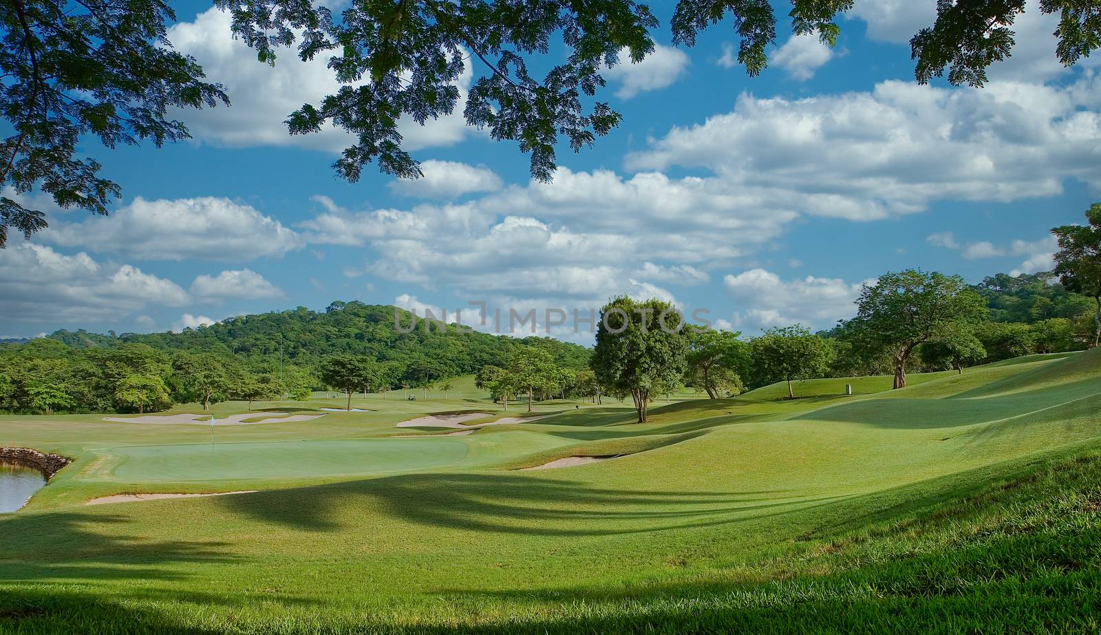 Jungle Golf Course  in Costa Rica by dbvirago