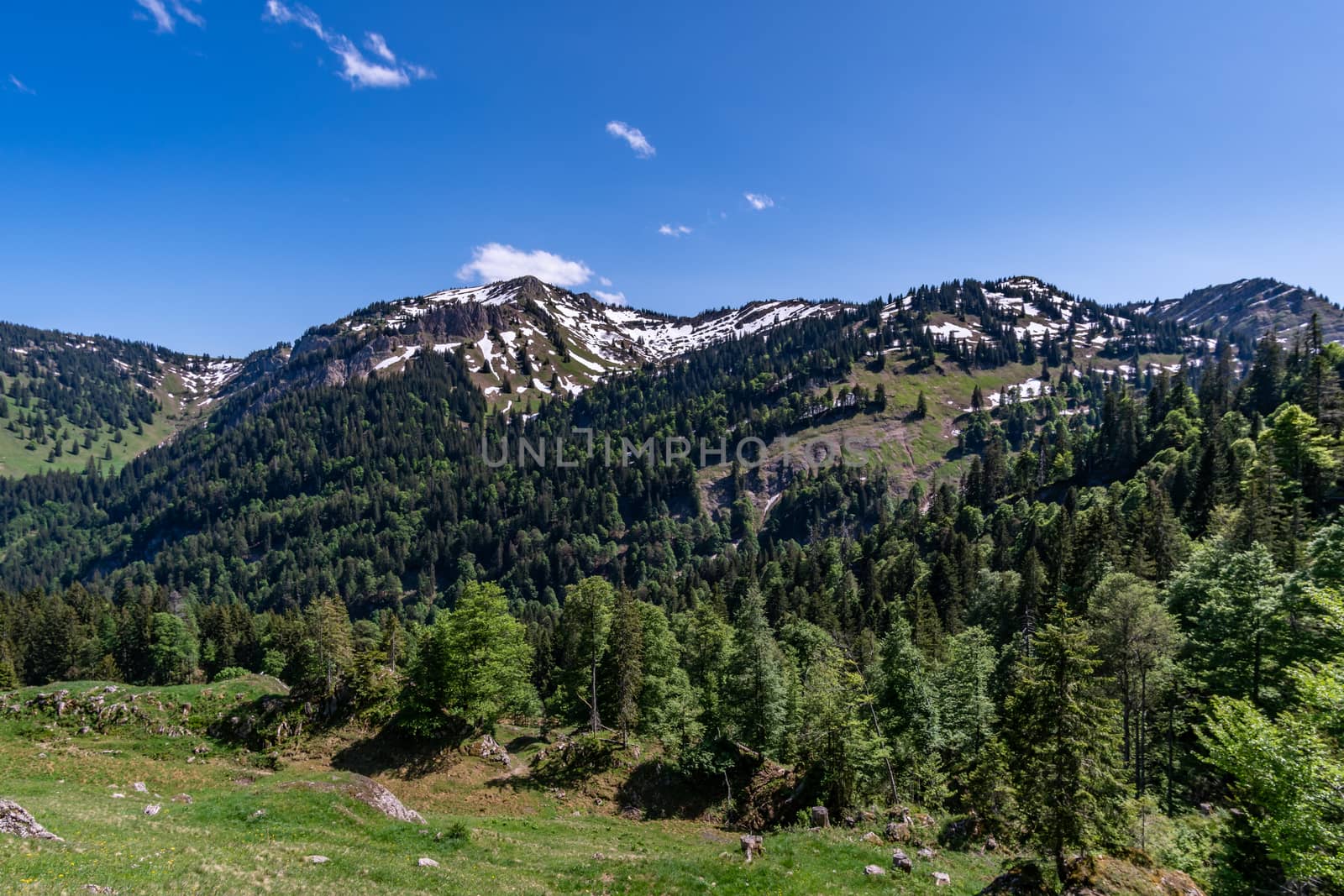 Wonderful hiking tour to the summit of the Buralpkopf, near Hochgrat, at the Nagelfluhkette in the beautiful Allgaeu.