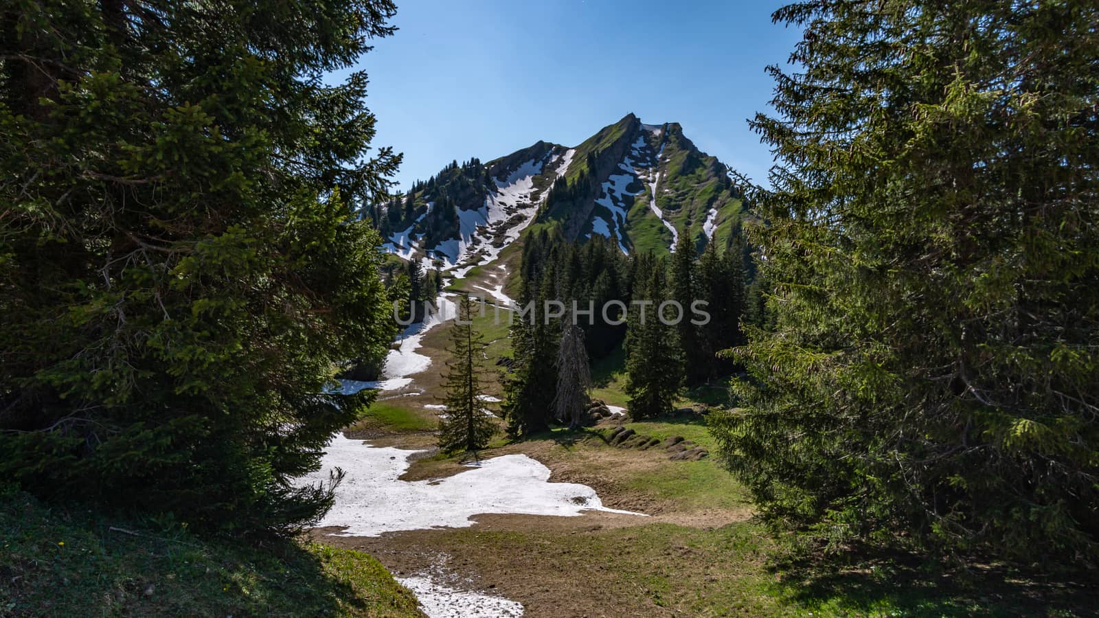 Wonderful hiking tour to the summit of the Buralpkopf, near Hochgrat, at the Nagelfluhkette in the beautiful Allgaeu.