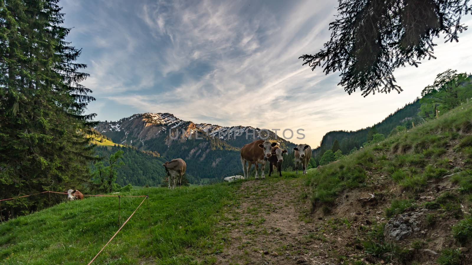 Wonderful hiking tour to the summit of the Buralpkopf, near Hochgrat, at the Nagelfluhkette in the beautiful Allgaeu.