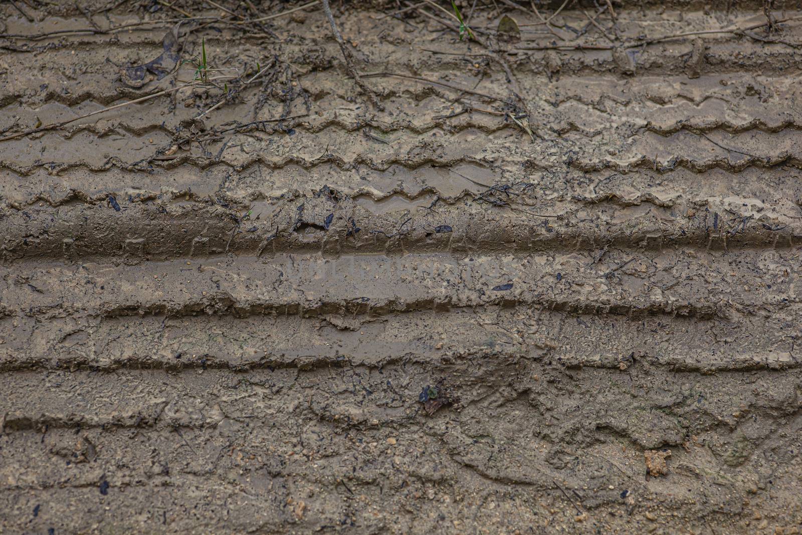 Tire marks in the mud in a Dirty road