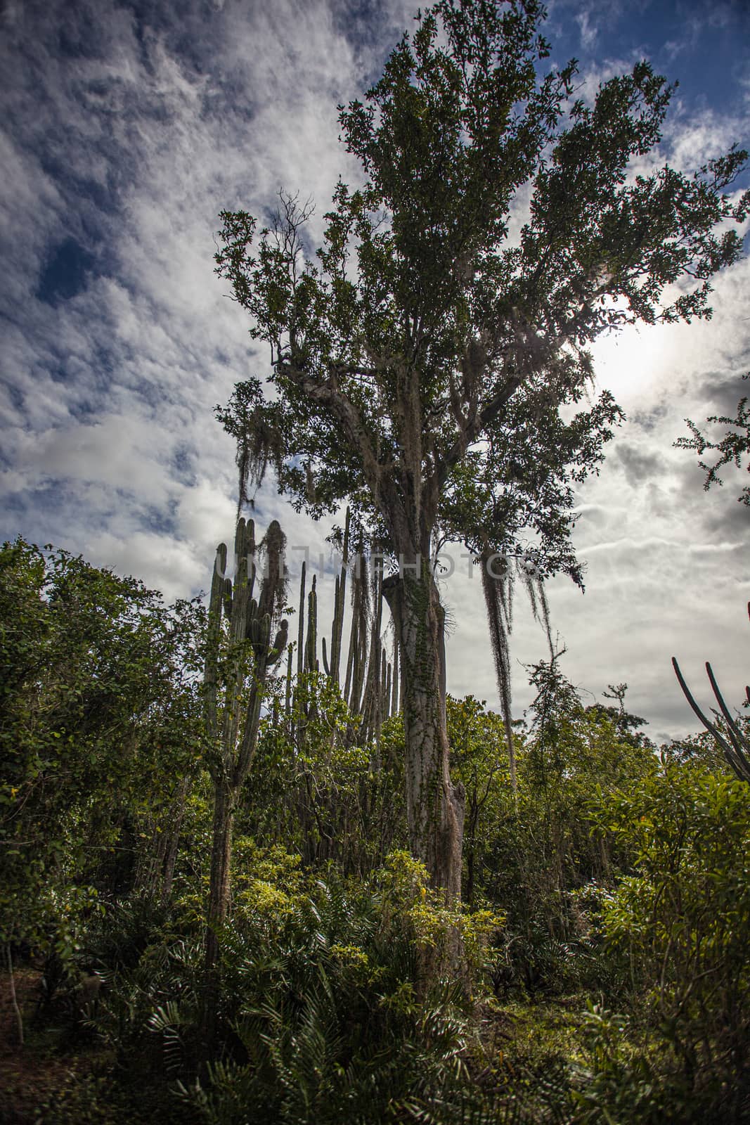 Cotubanama National Park in Dominican Republic 24 by pippocarlot