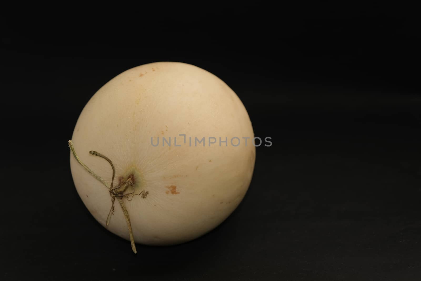 A Cantaloupe Melon on the black background with space for put the text