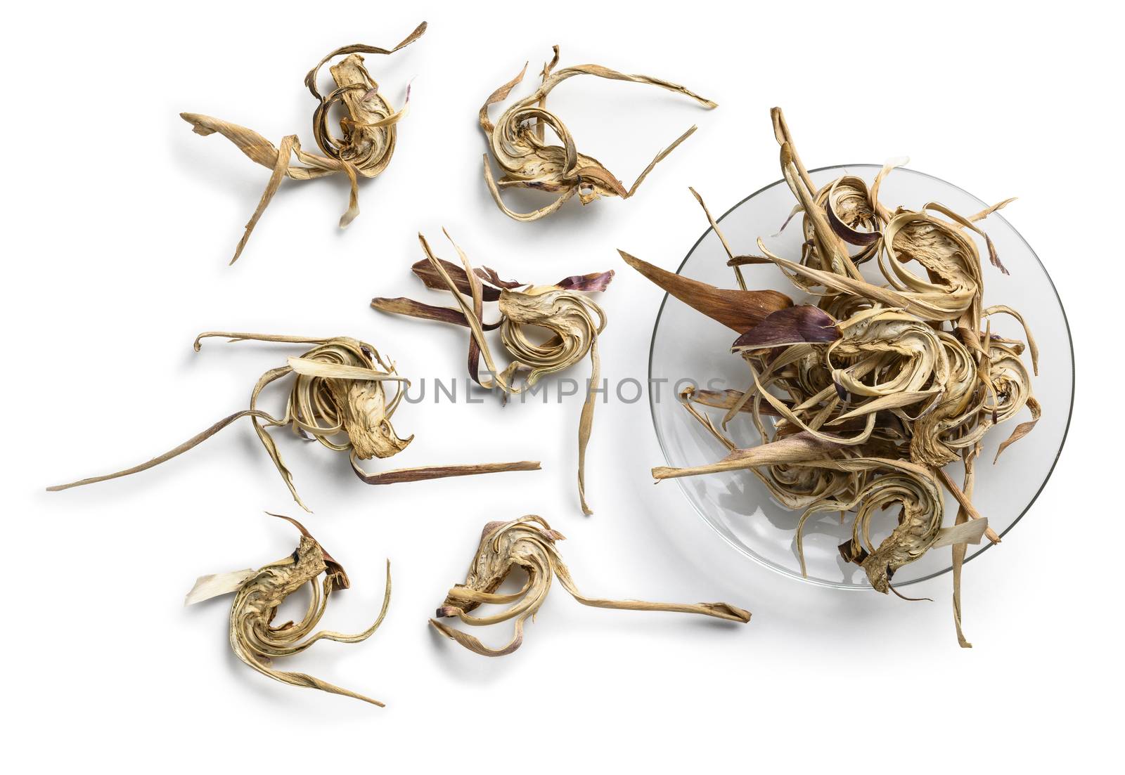 Dry artichoke flowers on a white background. The view from the top.