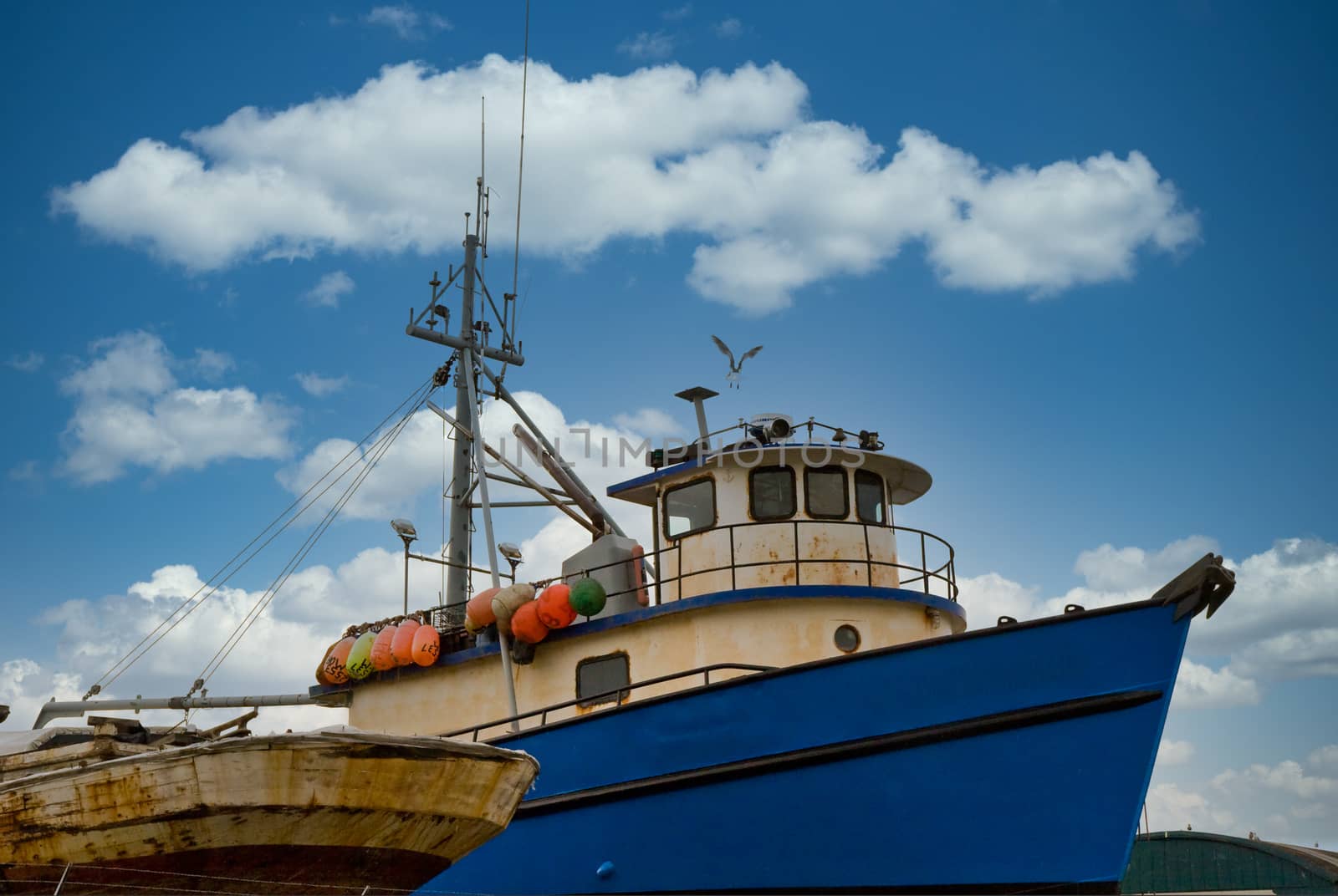 An old blue tugboat in dry dock with a seagull flying over