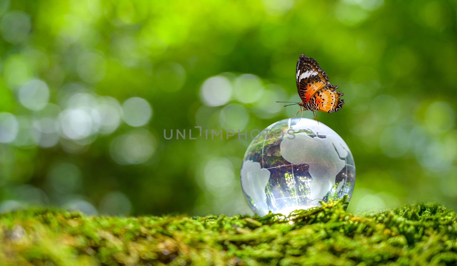 Concept Save the world save environment The world is in the grass of the green bokeh background