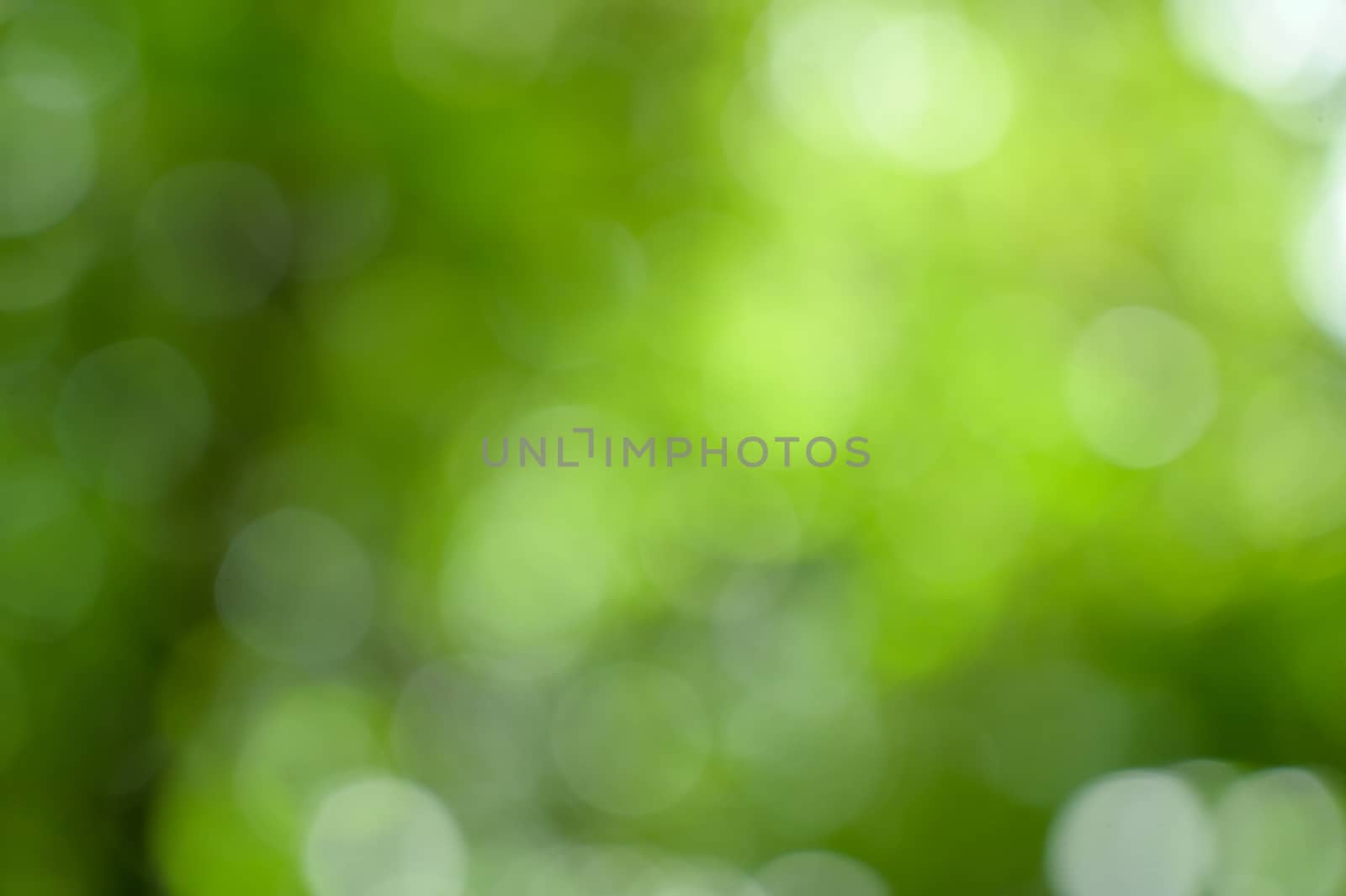 Bokeh blur green background