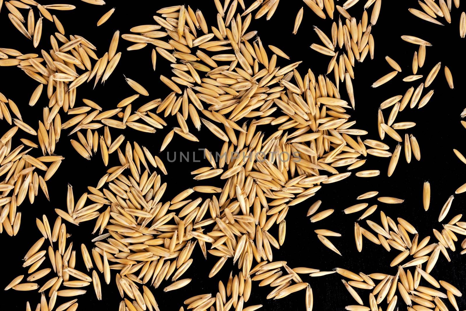 Pile of oat seeds isolated on black background. Top view