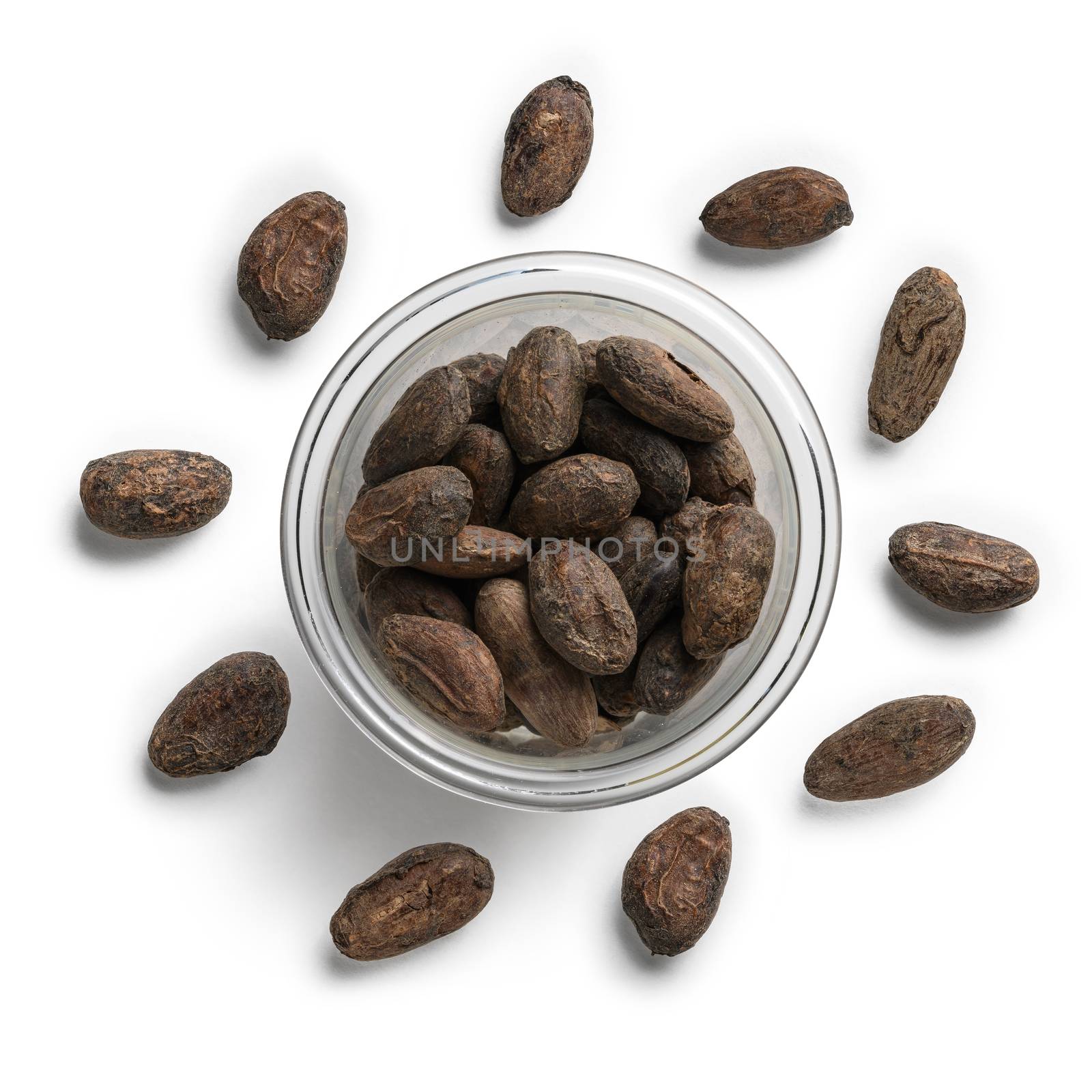 Cocoa beans on a white background. The view from the top.