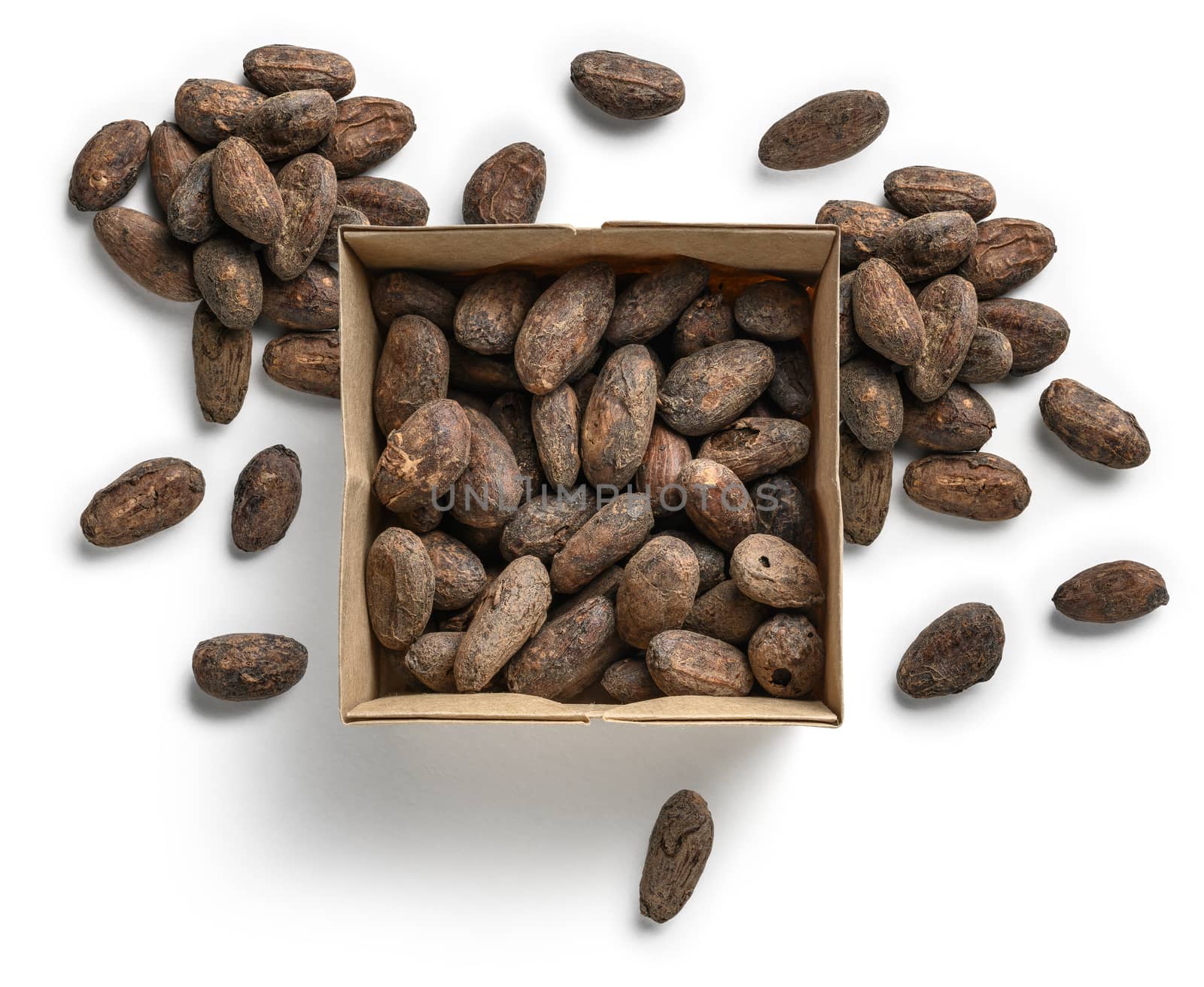 Cocoa beans on a white background. The view from the top.