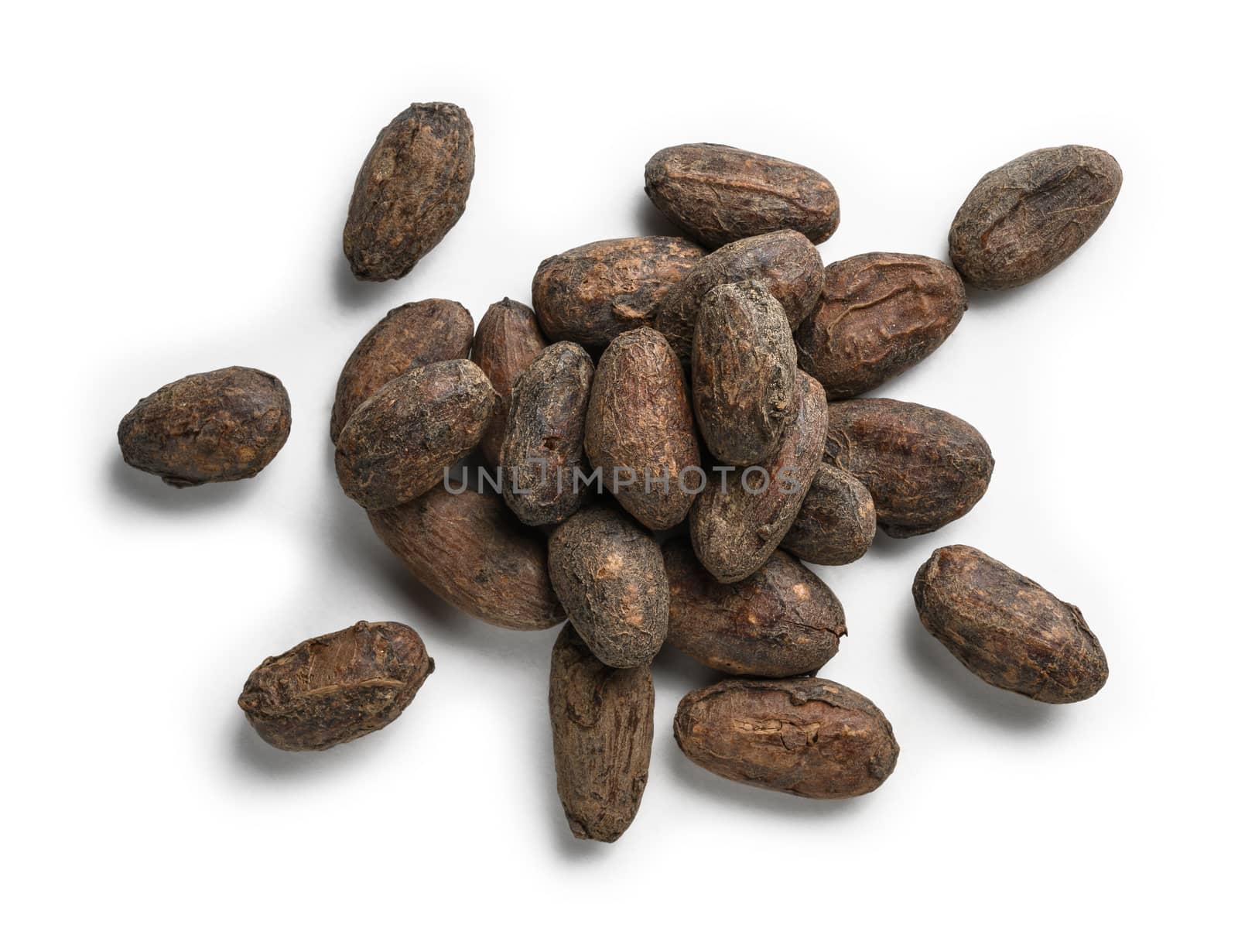 Cocoa beans on a white background. The view from the top.