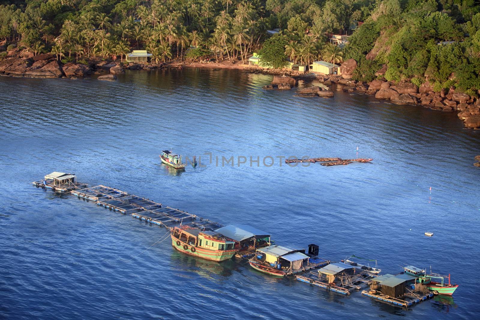Aerial view  Oyster farm in sea. Vietnam, Phu Quoc