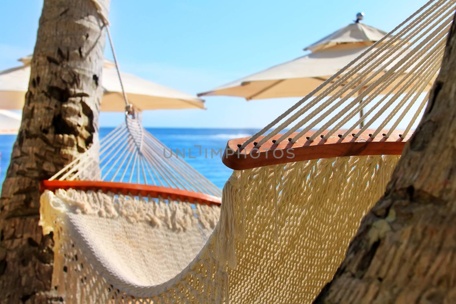 Hammock between two palm trees on the beach. Pineapple island, Vietnam