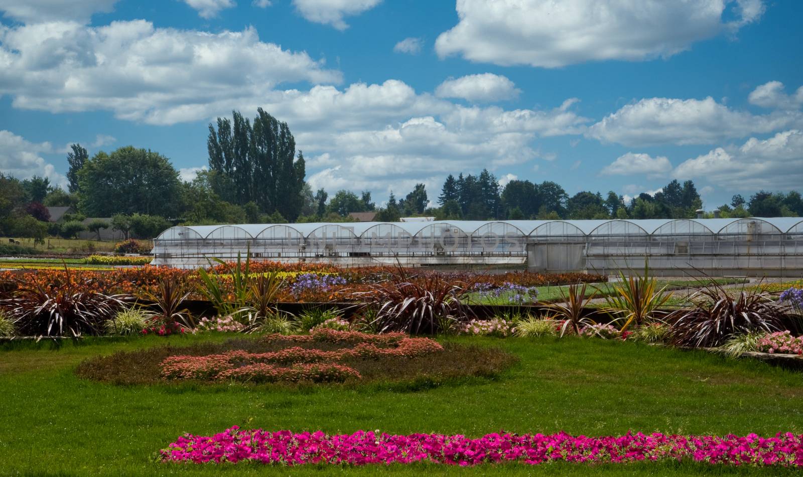 A commercial flower nursery in the pacific northwest