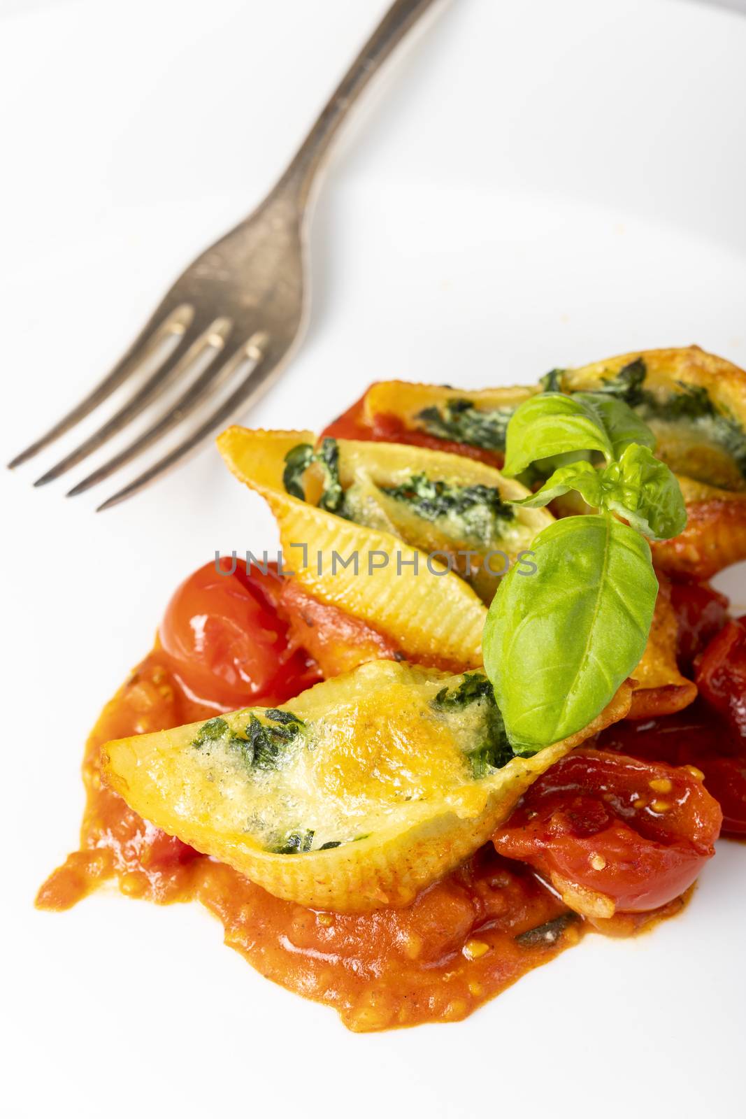 italian conchiglino pasta filled with spinach