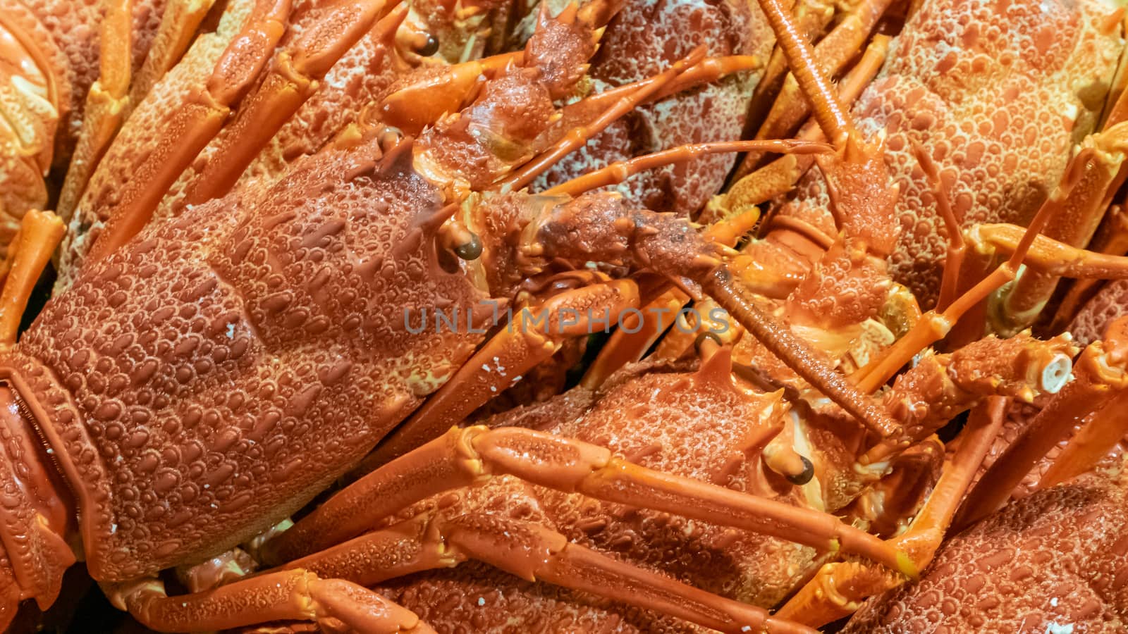 The close up of fresh lobsters seafood at Taipei fish market in Taiwan.