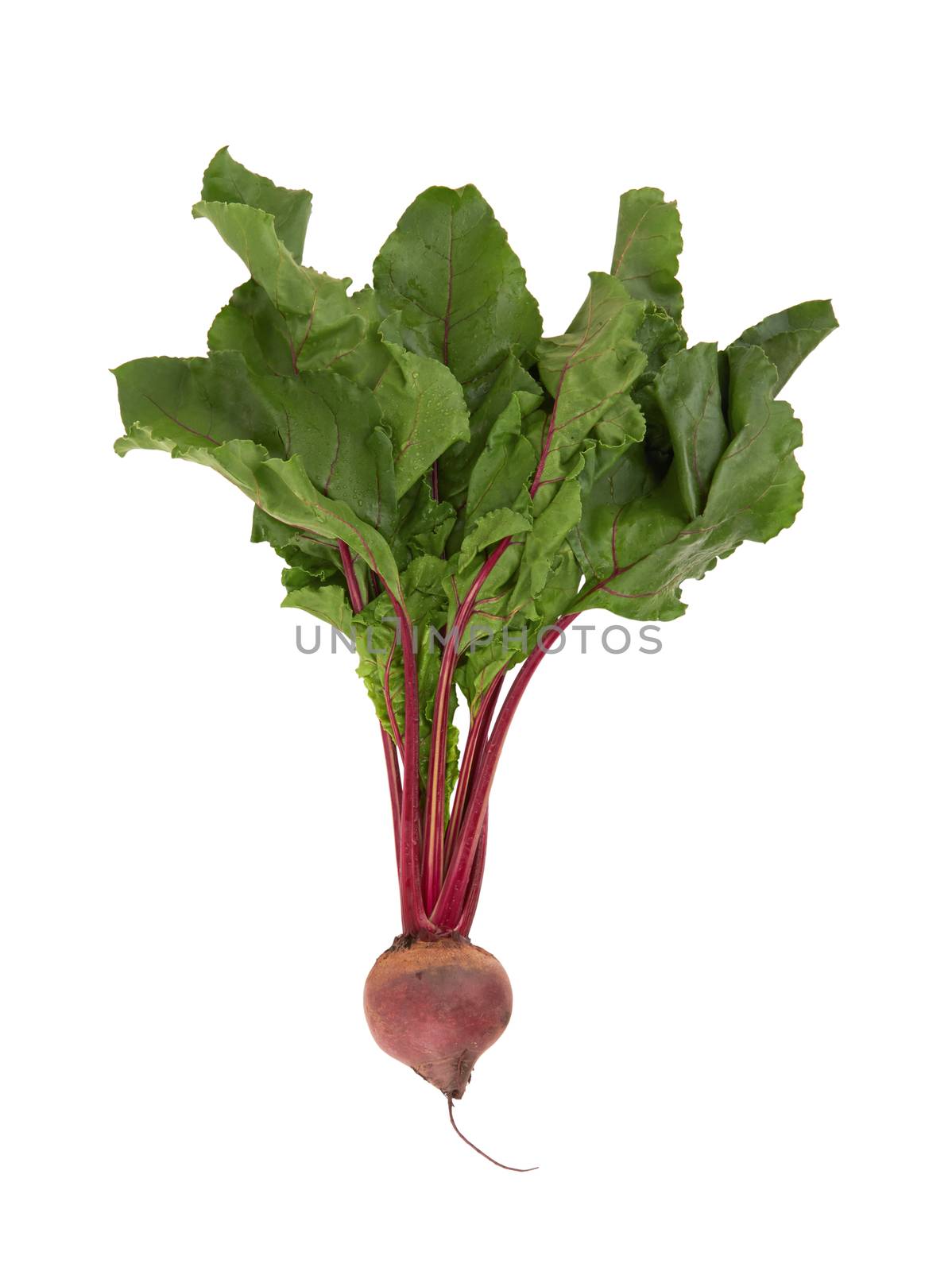 Beetroot with leaves isolated on white background