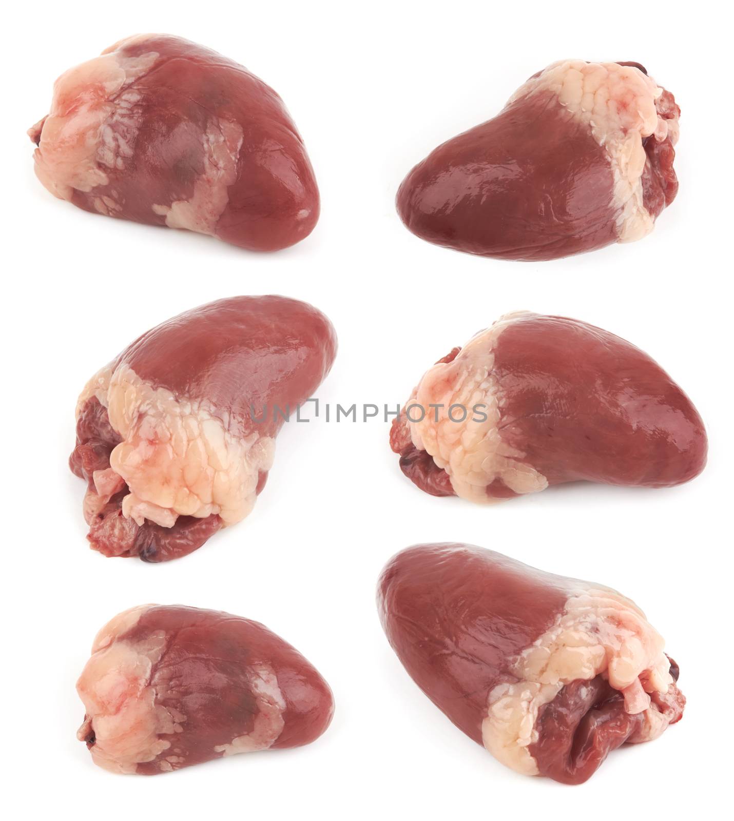 Raw chicken heart isolated on white background