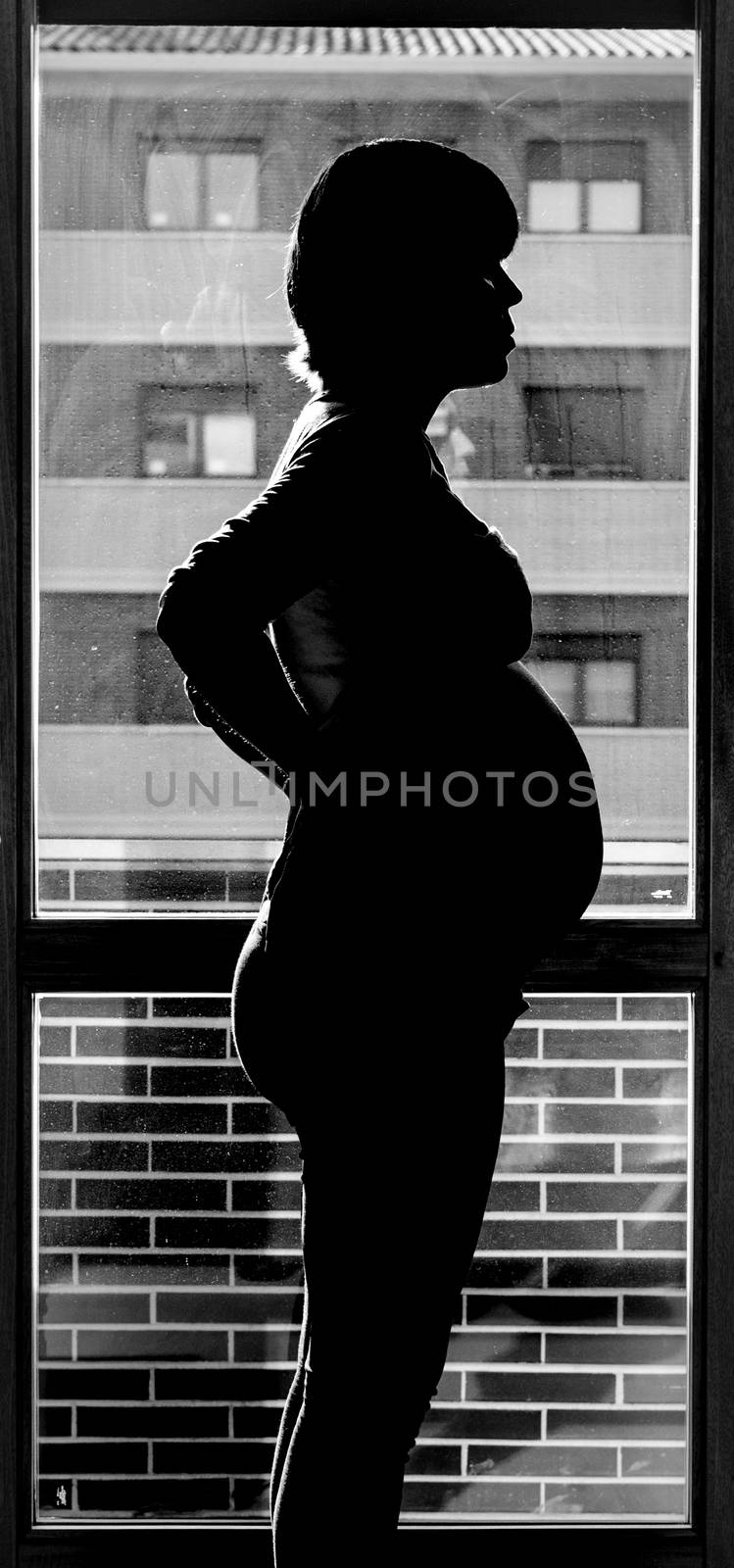 Pregnant shows her belly in a dark silhouette in front of the window