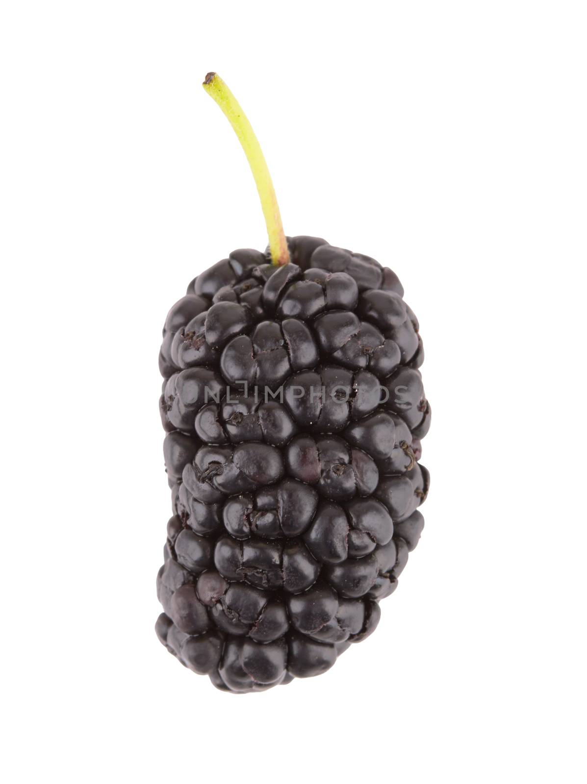 Black mulberry isolated on a white background