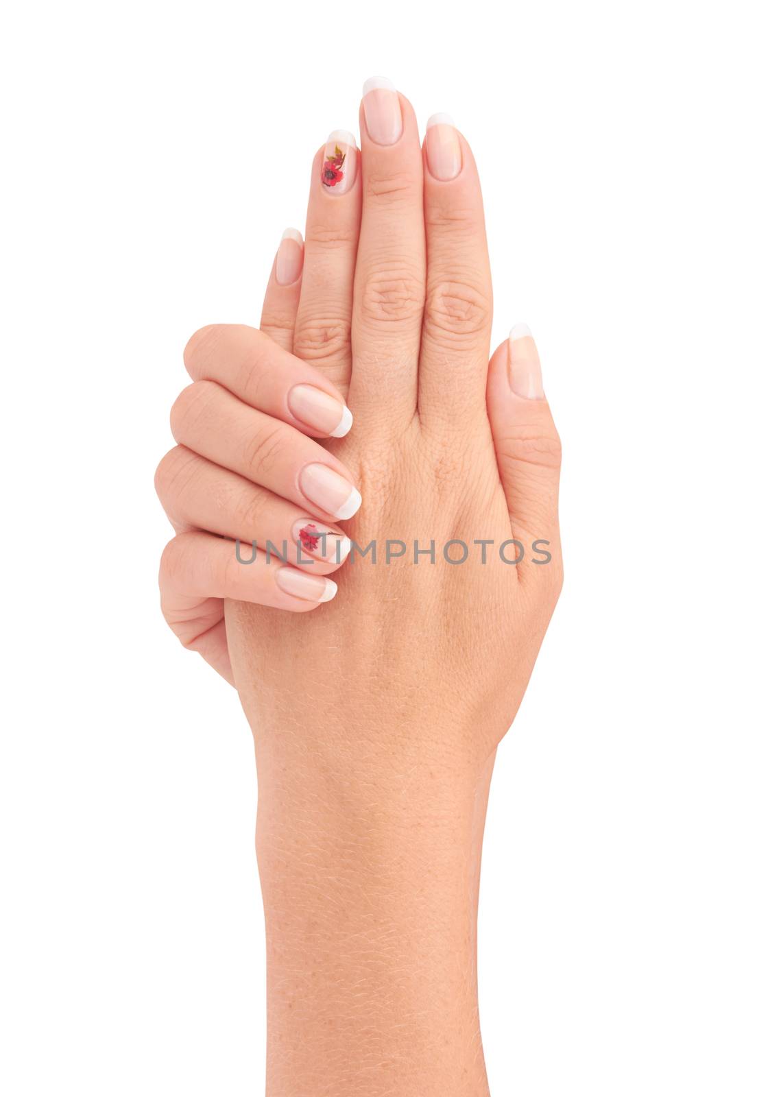 woman hands with french manicure isolated on white background