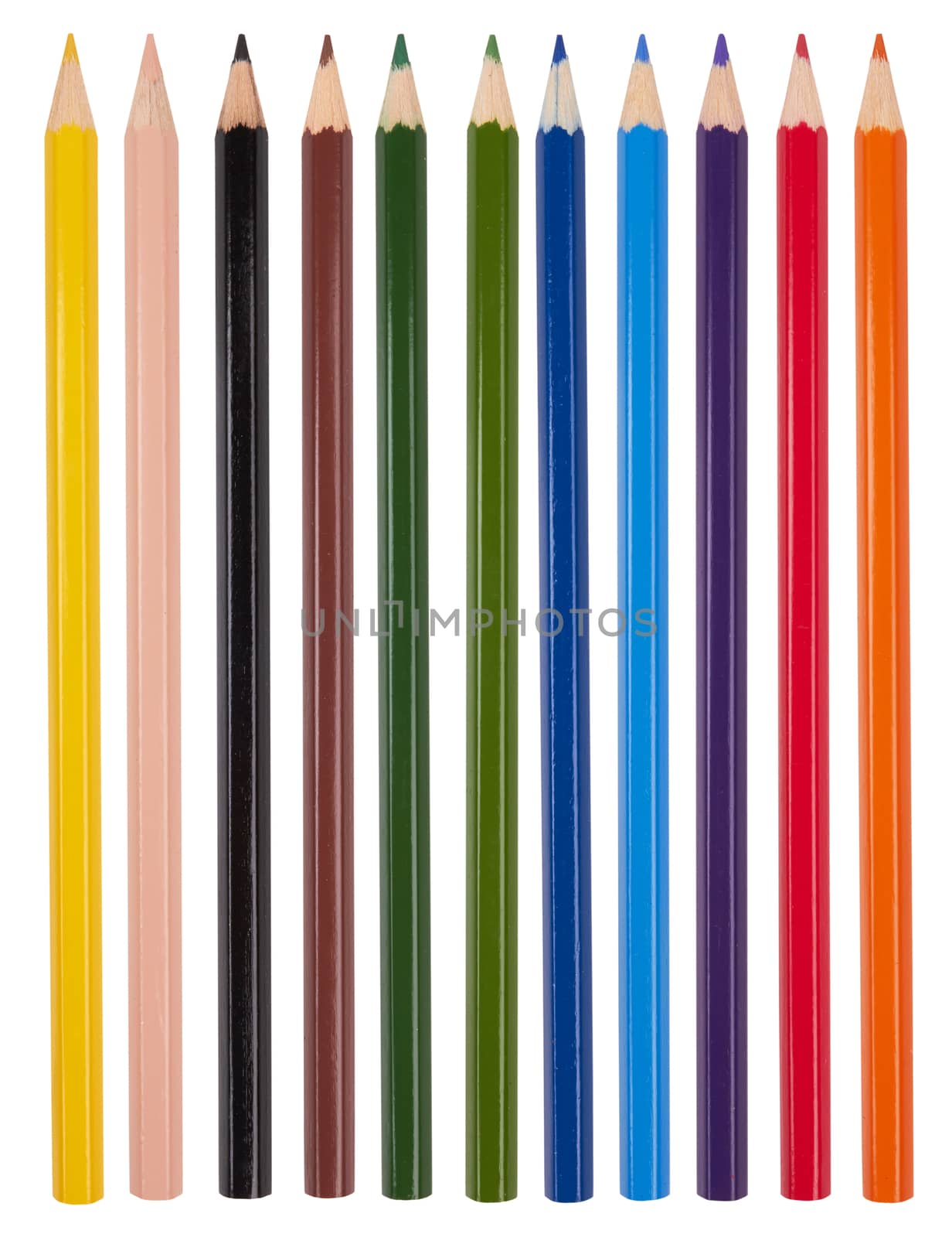 Colour pencils isolated on white background close up 