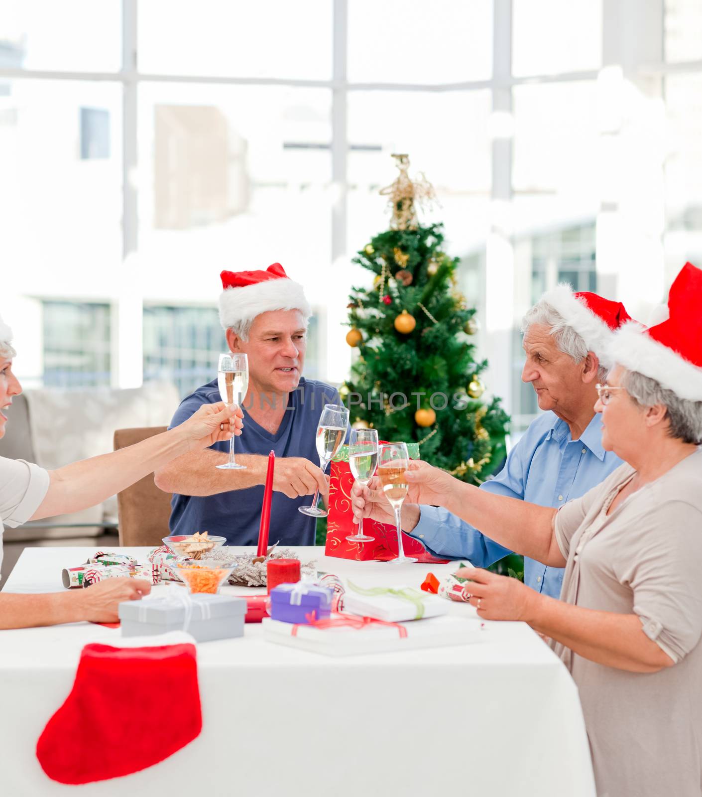 Seniors on Christmas day at home by Wavebreakmedia