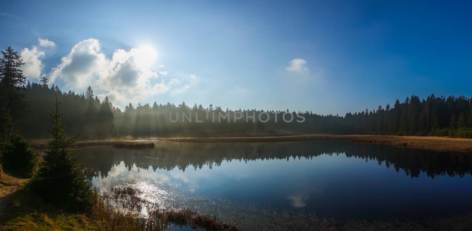 Autumn morning at lake, sun rays glowing through mist by asafaric