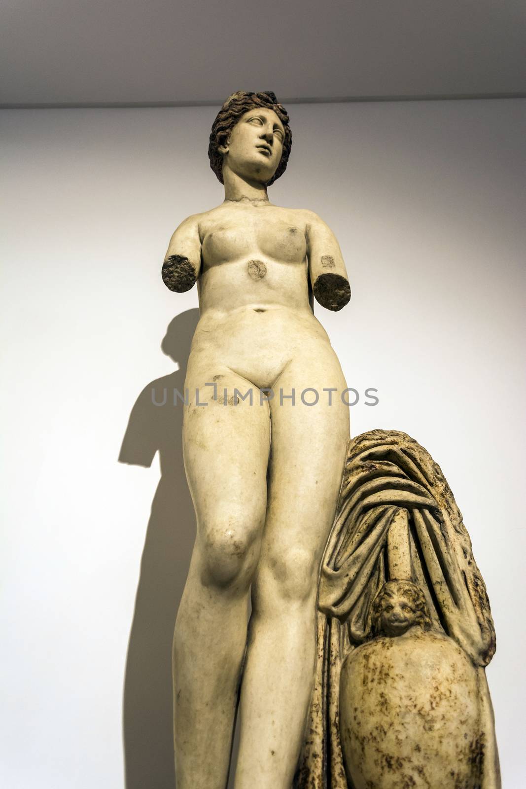 Rome, Italy - September 1, 2017: Aphrodite statue in baths of Diocletian (Thermae Diocletiani) in Rome. Italy