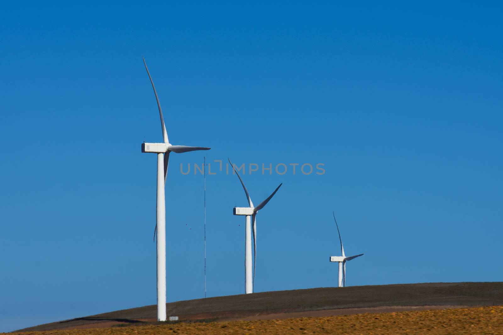 Towering wind power turbines on a wind farm hilltop, Western Cape, South Africa
