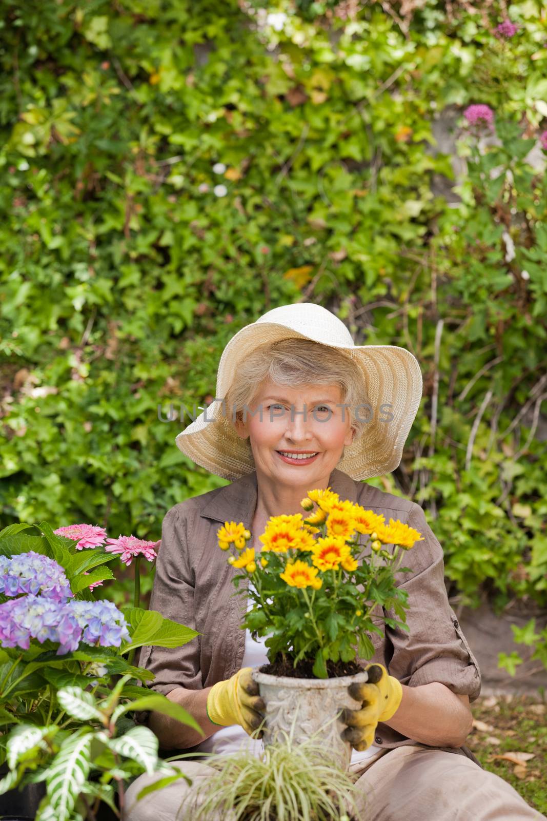 Retired woman working in the garden by Wavebreakmedia