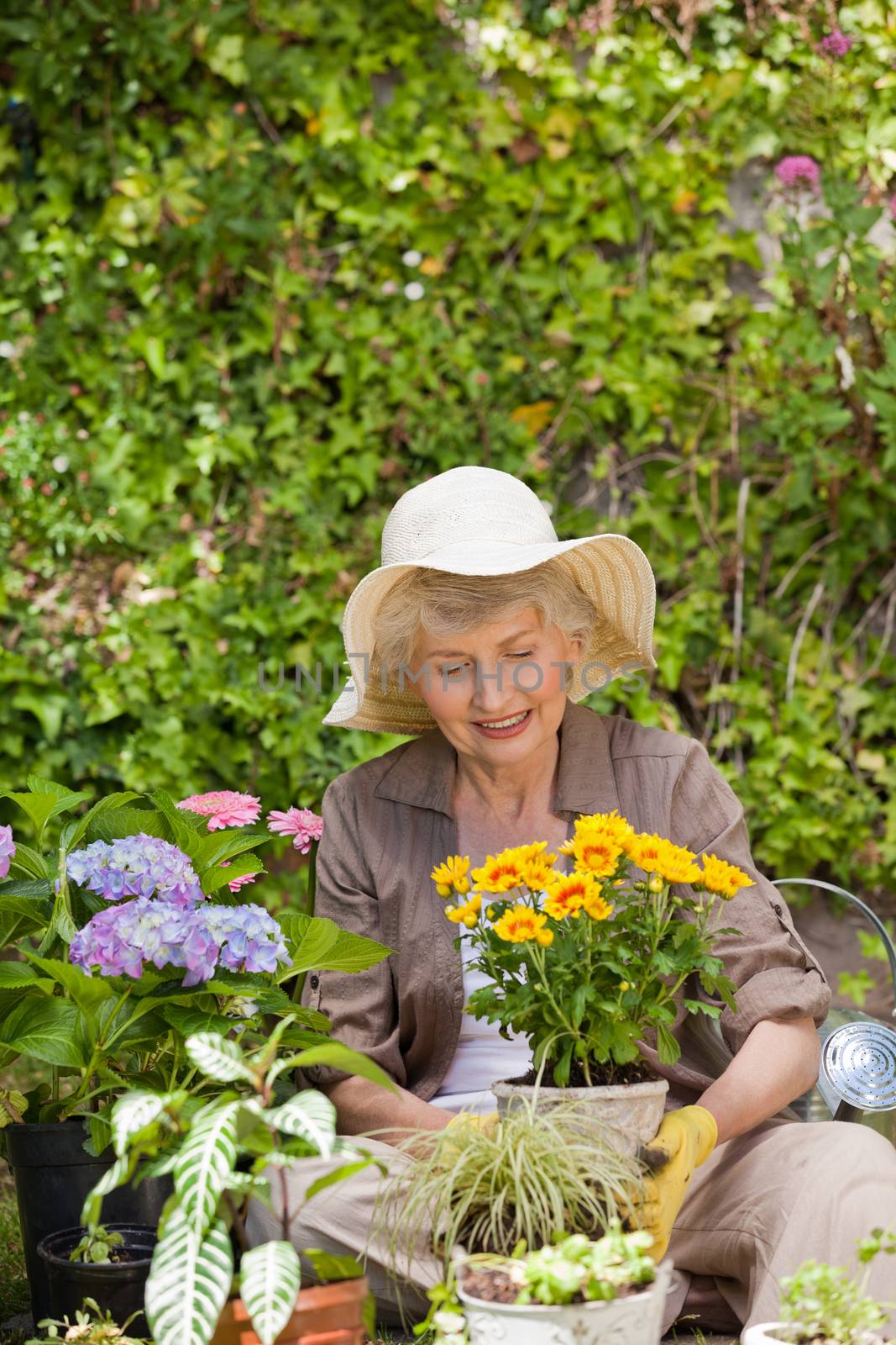 Retired woman working in the garden