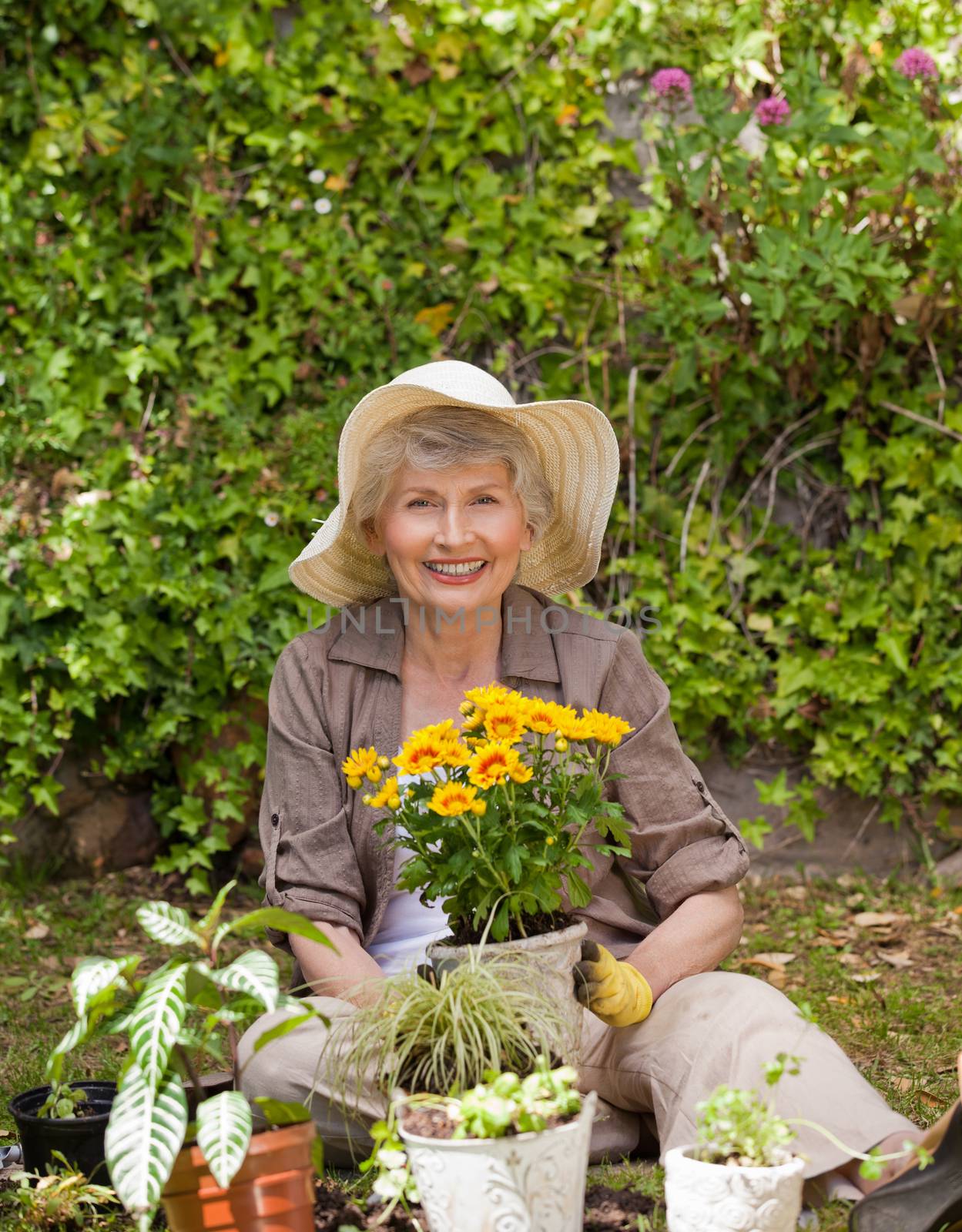 Retired woman working in the garden by Wavebreakmedia