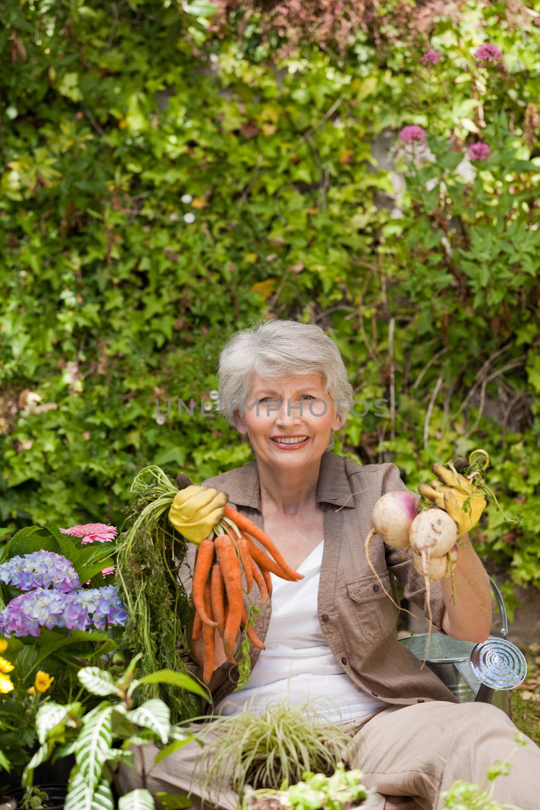 Retired woman working in the garden by Wavebreakmedia