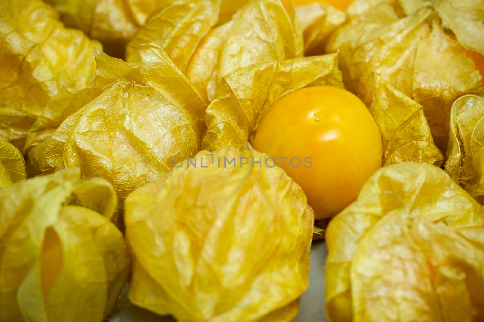 Closeup cape gooseberry on wooden table. Concept of health care or herb.