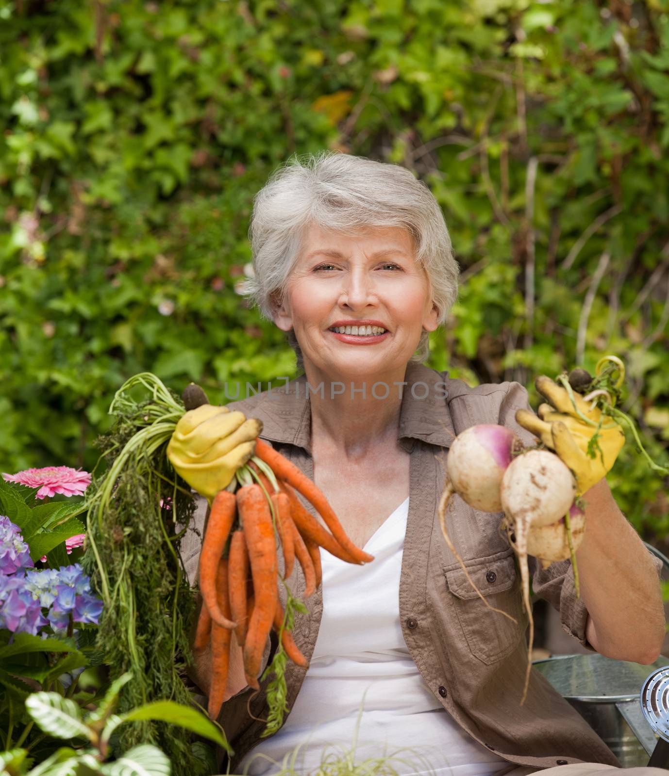 Retired woman working in the garden by Wavebreakmedia