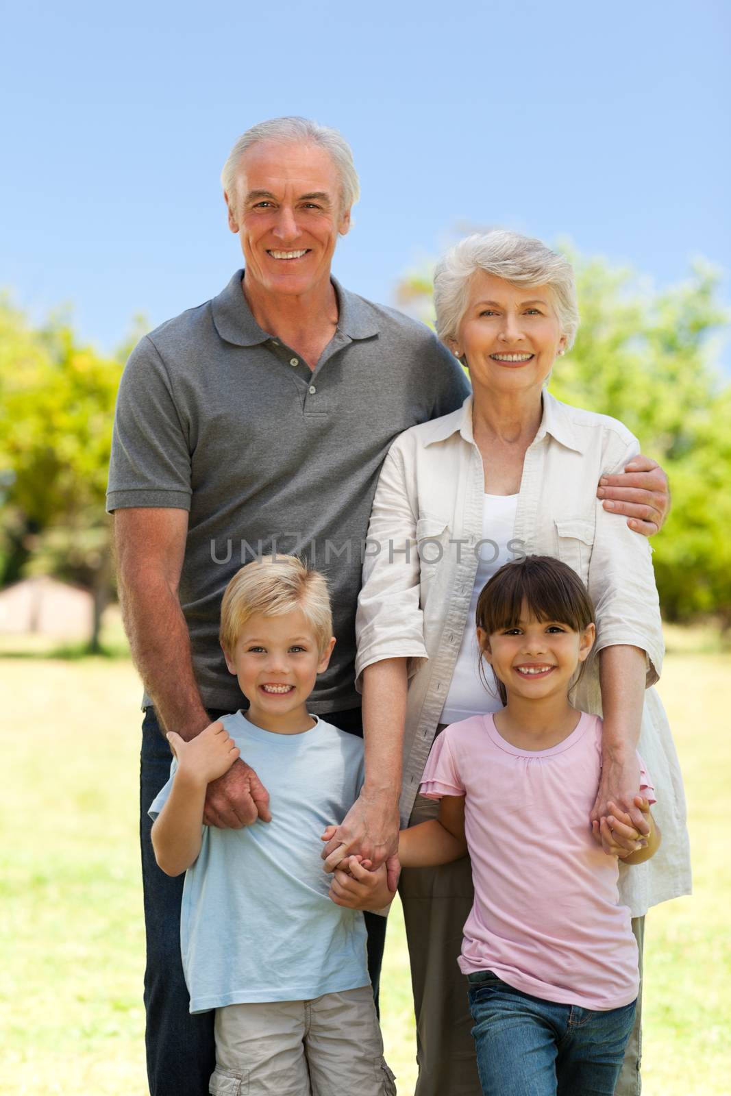 Grandparents with their grandchildren in the park
