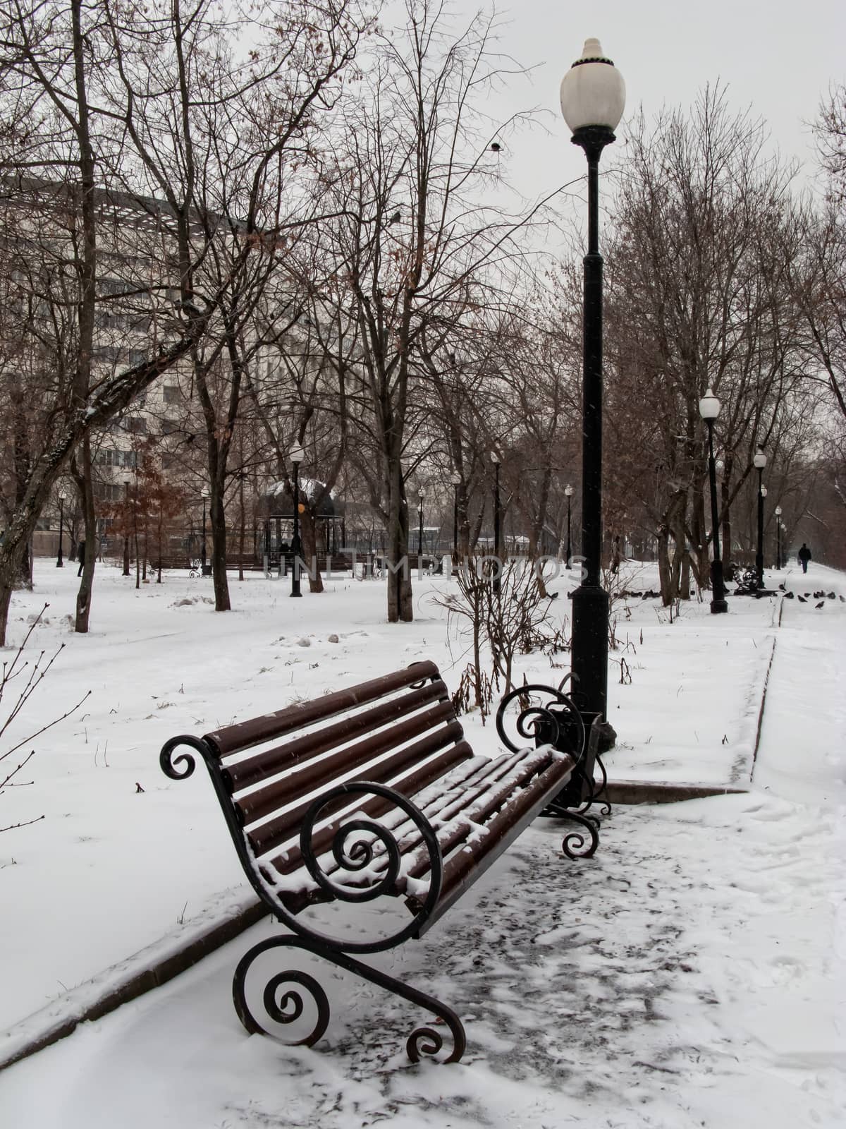 Red benches in a park covered with snow by bonilook